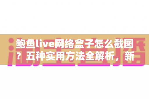 鲍鱼live网络盒子怎么截图？五种实用方法全解析，新手也能一键上手