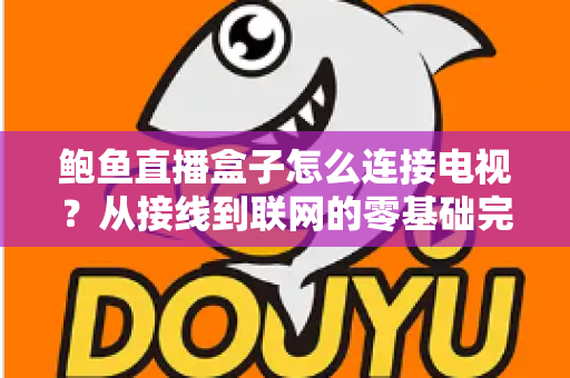 鲍鱼直播盒子怎么连接电视？从接线到联网的零基础完整设置指南