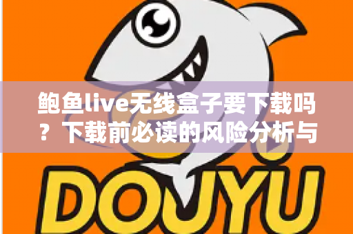 鲍鱼live无线盒子要下载吗？下载前必读的风险分析与安全指南
