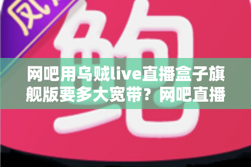 网吧用乌贼live直播盒子旗舰版要多大宽带?网吧直播带宽配置全攻略 网吧用乌贼live直播盒子旗舰版要多大宽带?网吧直播带宽配置全攻略