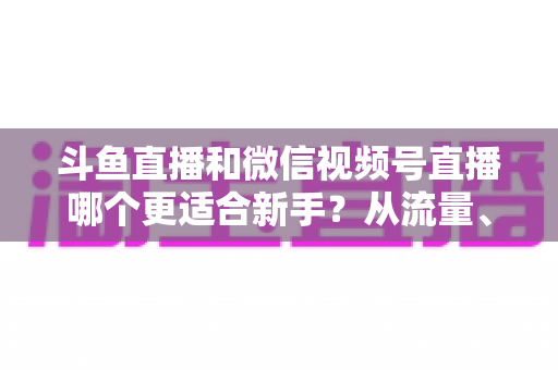 斗鱼直播和微信视频号直播哪个更适合新手？从流量、门槛到变现的全面深度解析指南