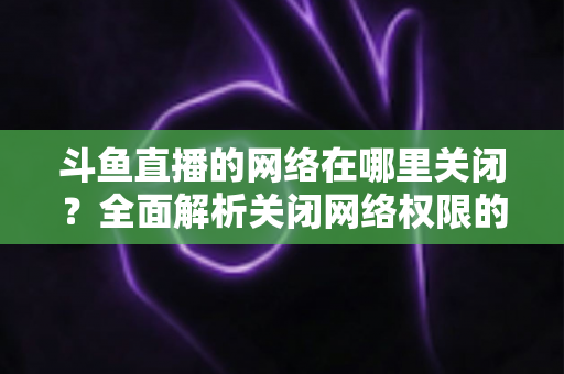 斗鱼直播的网络在哪里关闭？全面解析关闭网络权限的详细步骤与实用技巧