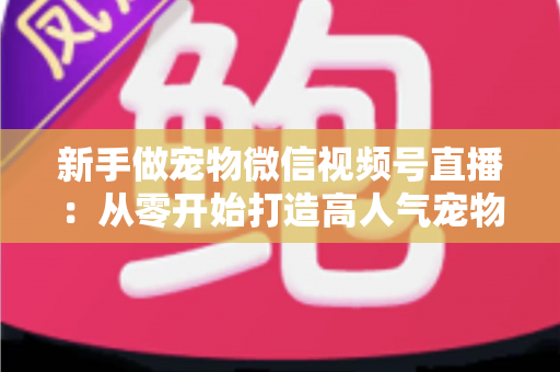 新手做宠物微信视频号直播：从零开始打造高人气宠物直播间的完整指南