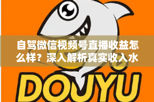 自驾微信视频号直播收益怎么样?深入解析真实收入水平、赚钱途径与提升技巧 自驾微信视频号直播收益怎么样?深入解析真实收入水平、赚钱途径与提升技巧