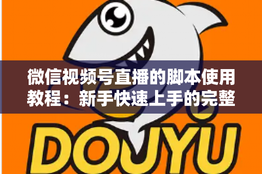 微信视频号直播的脚本使用教程：新手快速上手的完整实战指南