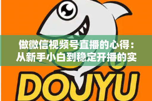 做微信视频号直播的心得：从新手小白到稳定开播的实战经验全解析