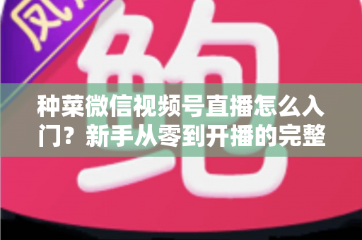 种菜微信视频号直播怎么入门？新手从零到开播的完整实操指南