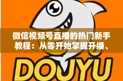 微信视频号直播的热门新手教程：从零开始掌握开播、涨粉与变现全流程