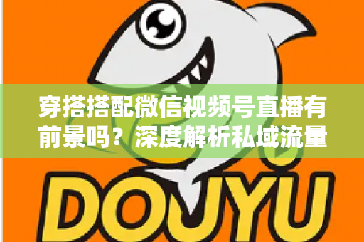 穿搭搭配微信视频号直播有前景吗？深度解析私域流量时代的时尚创业新机遇