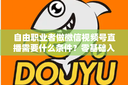自由职业者做微信视频号直播需要什么条件?零基础入门与变现全攻略 自由职业者做微信视频号直播需要什么条件?零基础入门与变现全攻略