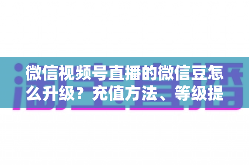 微信视频号直播的微信豆怎么升级？充值方法、等级提升与使用技巧全解析