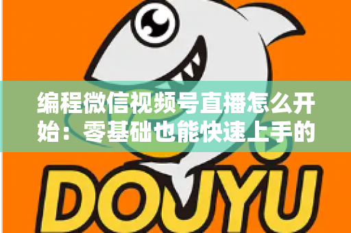 编程微信视频号直播怎么开始：零基础也能快速上手的开播全攻略