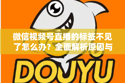 微信视频号直播的标签不见了怎么办？全面解析原因与恢复方法，助你快速找回流量入口