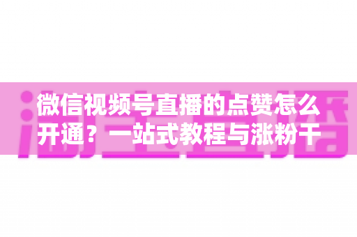 微信视频号直播的点赞怎么开通?一站式教程与涨粉干货全解析 微信视频号直播的点赞怎么开通?一站式教程与涨粉干货全解析