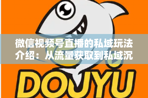 微信视频号直播的私域玩法介绍：从流量获取到私域沉淀的全链路运营指南