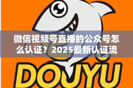 微信视频号直播的公众号怎么认证?2025最新认证流程、材料清单与实操指南全解析 微信视频号直播的公众号怎么认证?2025最新认证流程、材料清单与实操指南全解析