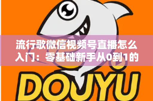 流行歌微信视频号直播怎么入门：零基础新手从0到1的完整开播实战指南