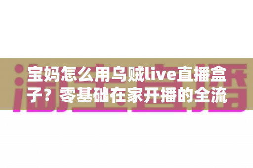 宝妈怎么用乌贼live直播盒子？零基础在家开播的全流程实用指南