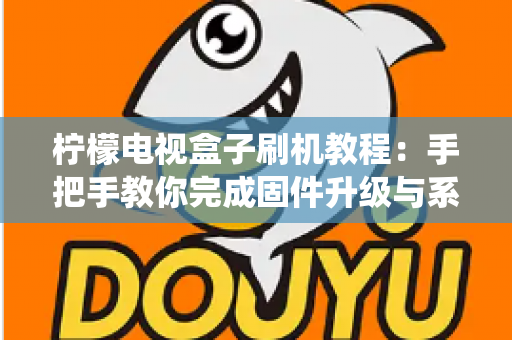 柠檬电视盒子刷机教程：手把手教你完成固件升级与系统优化的完整指南