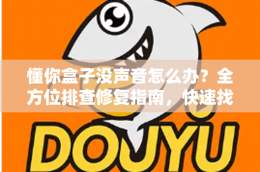 懂你盒子没声音怎么办？全方位排查修复指南，快速找回清晰音效