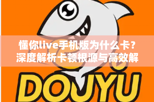 懂你live手机版为什么卡？深度解析卡顿根源与高效解决攻略
